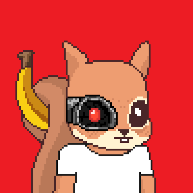 Pixel Squirrels #4911